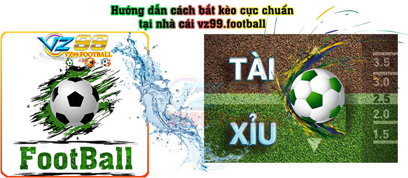 Hướng dẫn cách bắt kèo cực chuẩn tại VZ99 thể thao